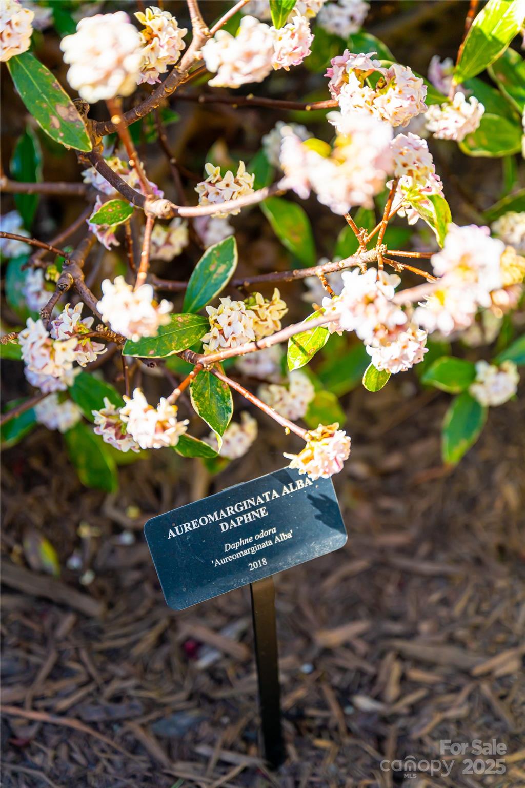 Sugar Hollow - Residential