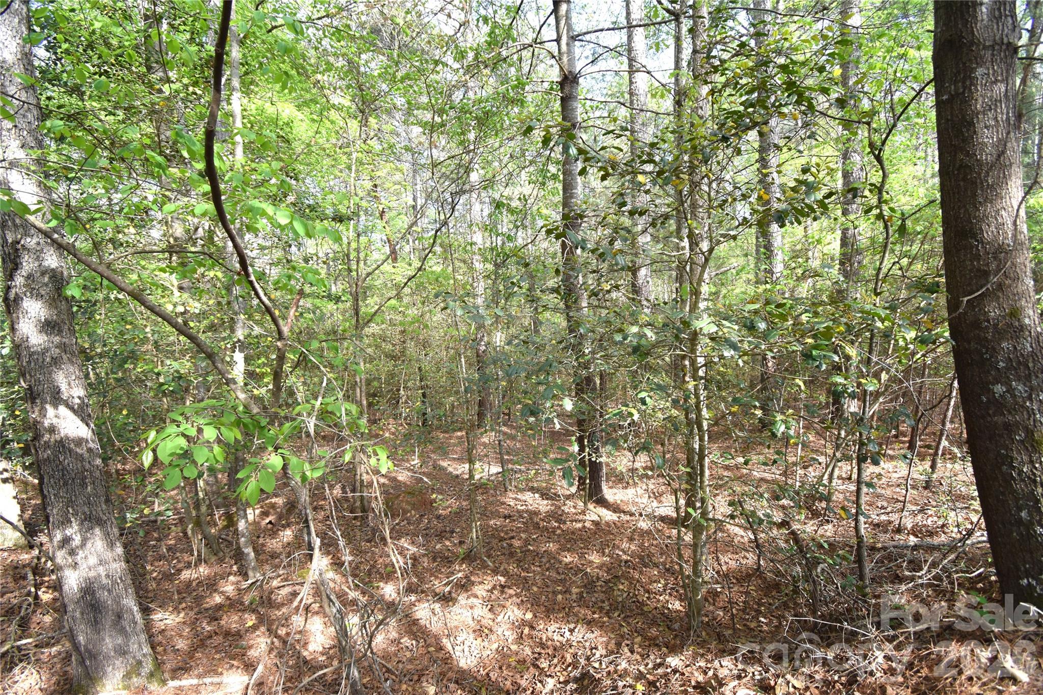 Anchors Landing - Land