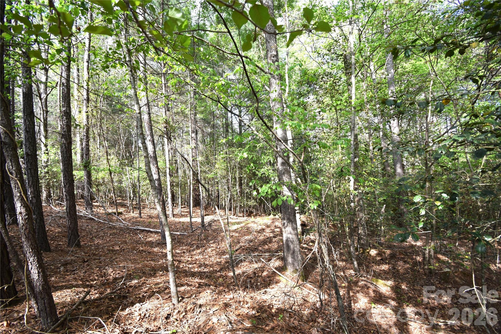 Anchors Landing - Land