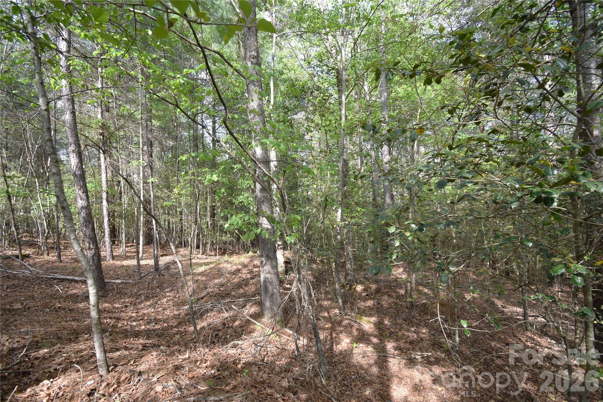 Anchors Landing - Land