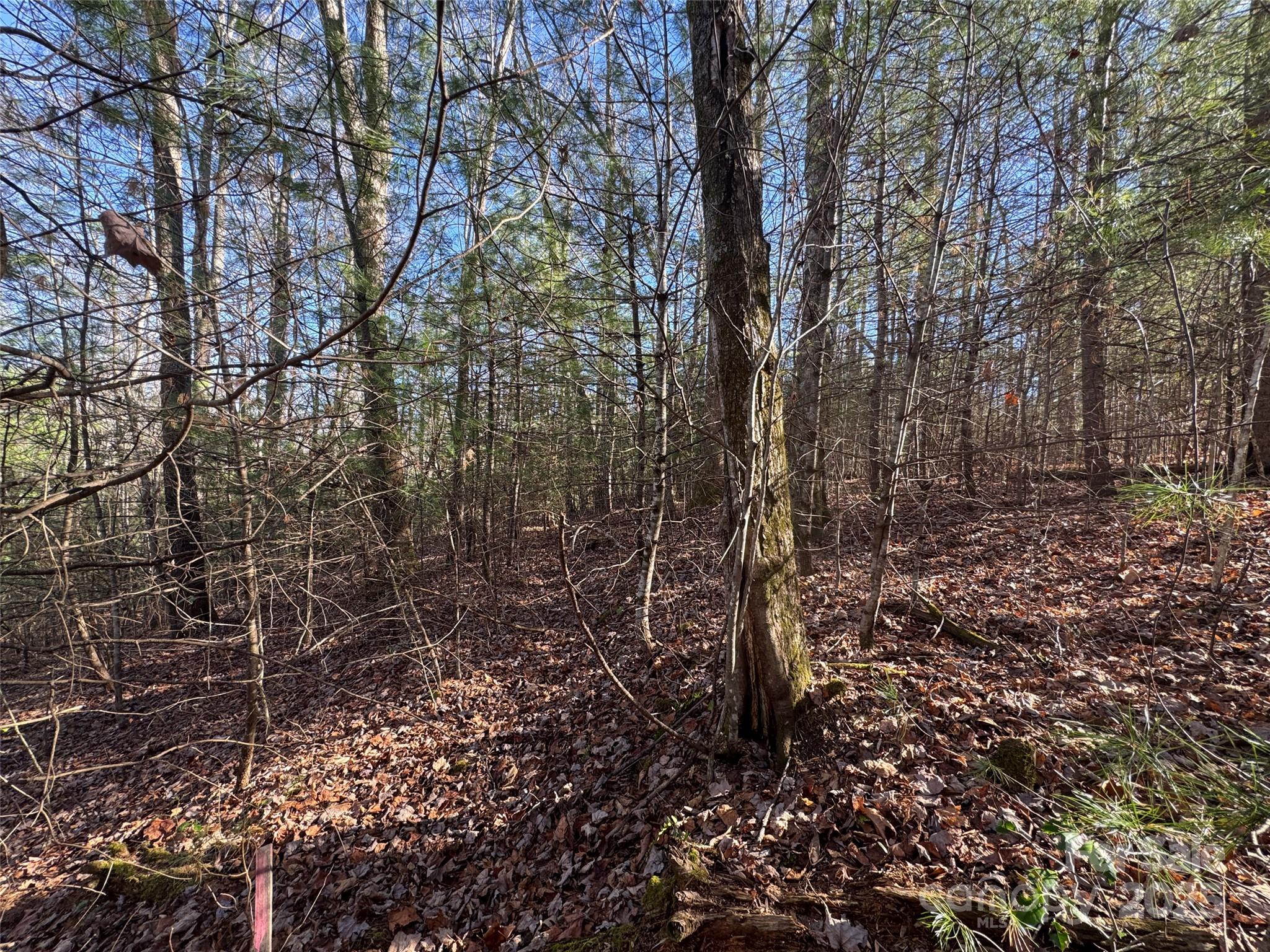 Blackberry Cove - Land