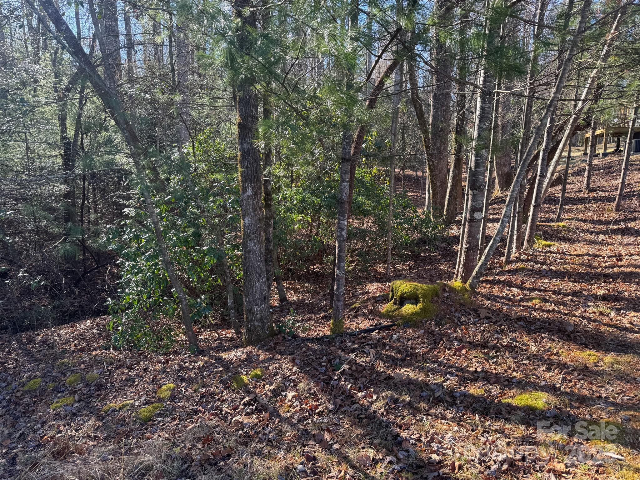 Blackberry Cove - Land