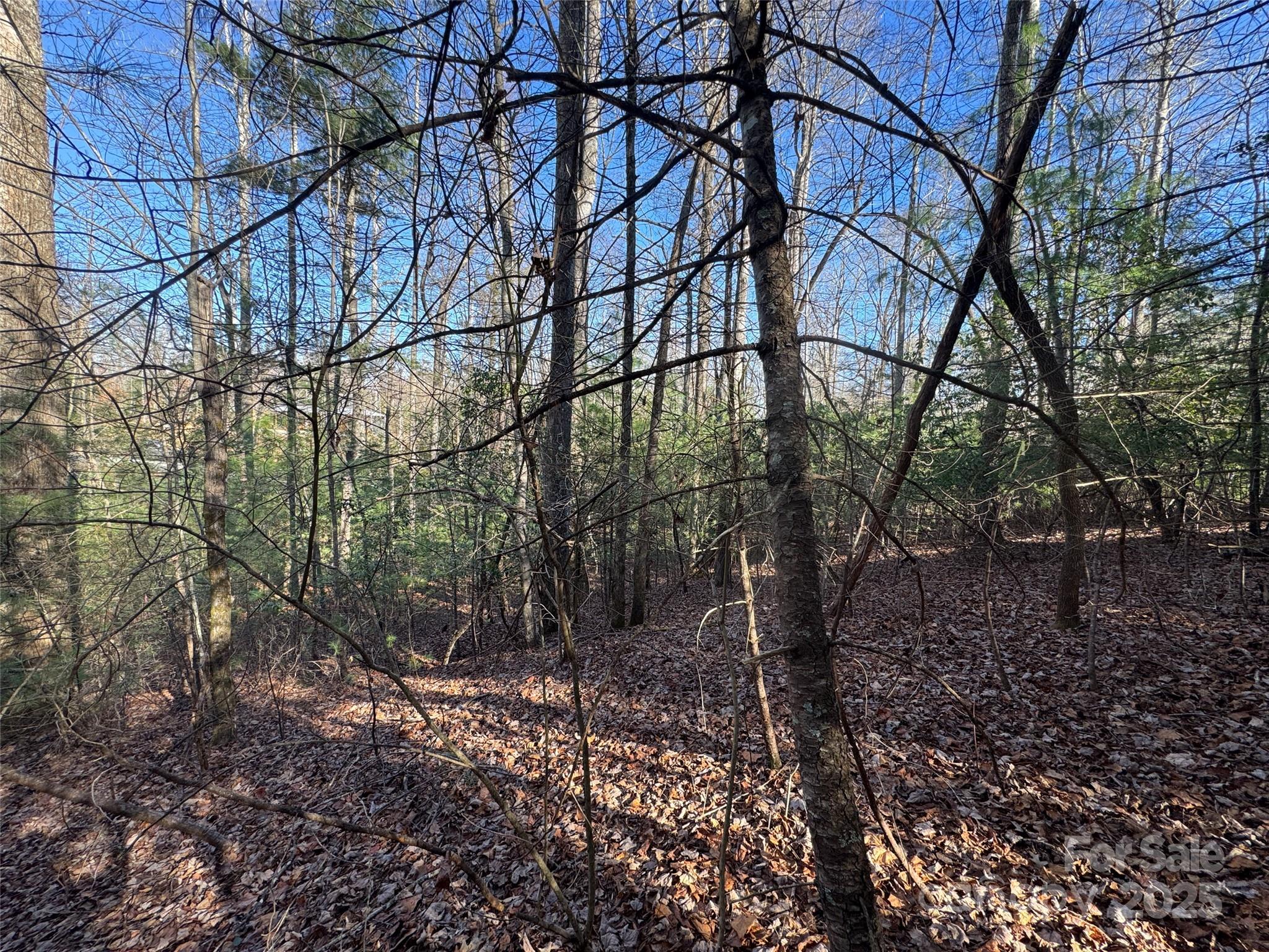 Blackberry Cove - Land