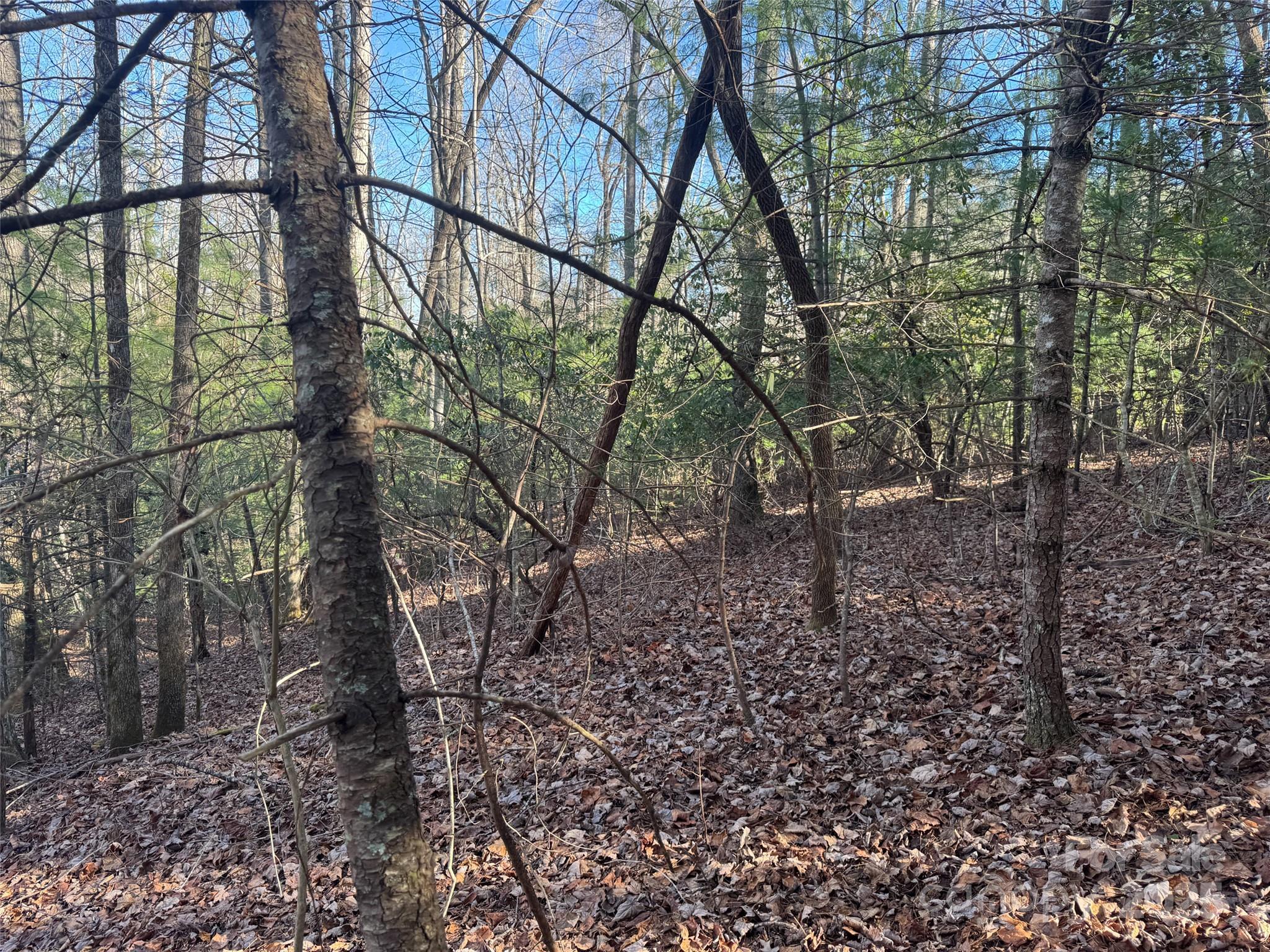 Blackberry Cove - Land