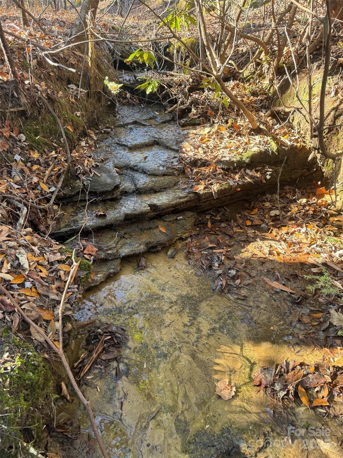 Blackberry Cove - Land