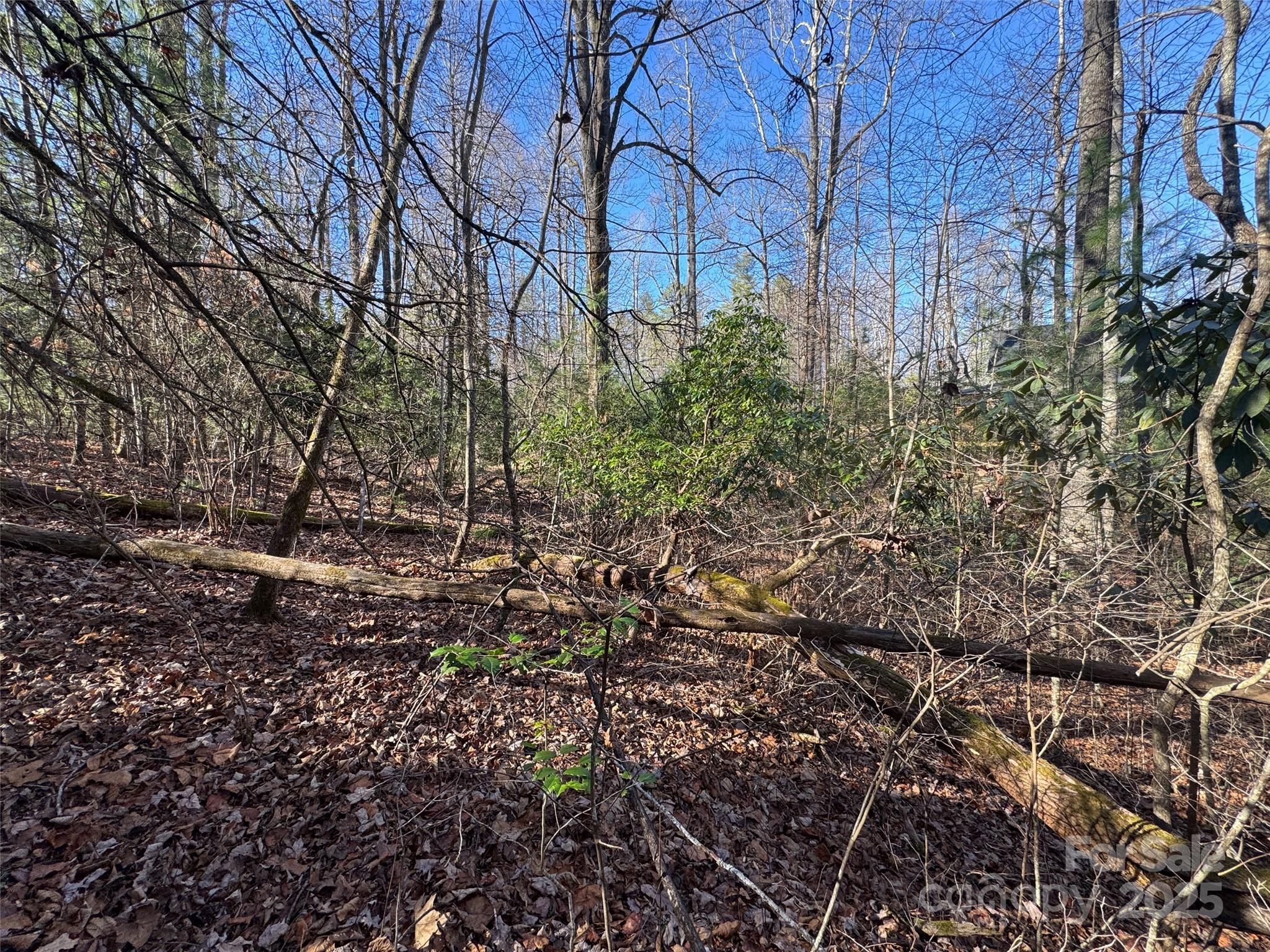 Blackberry Cove - Land