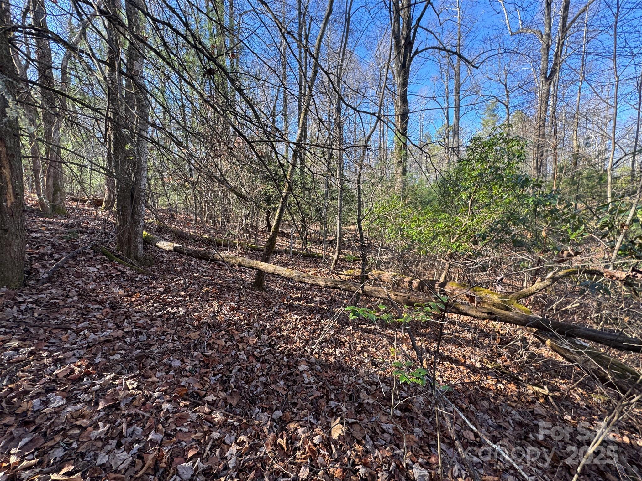 Blackberry Cove - Land