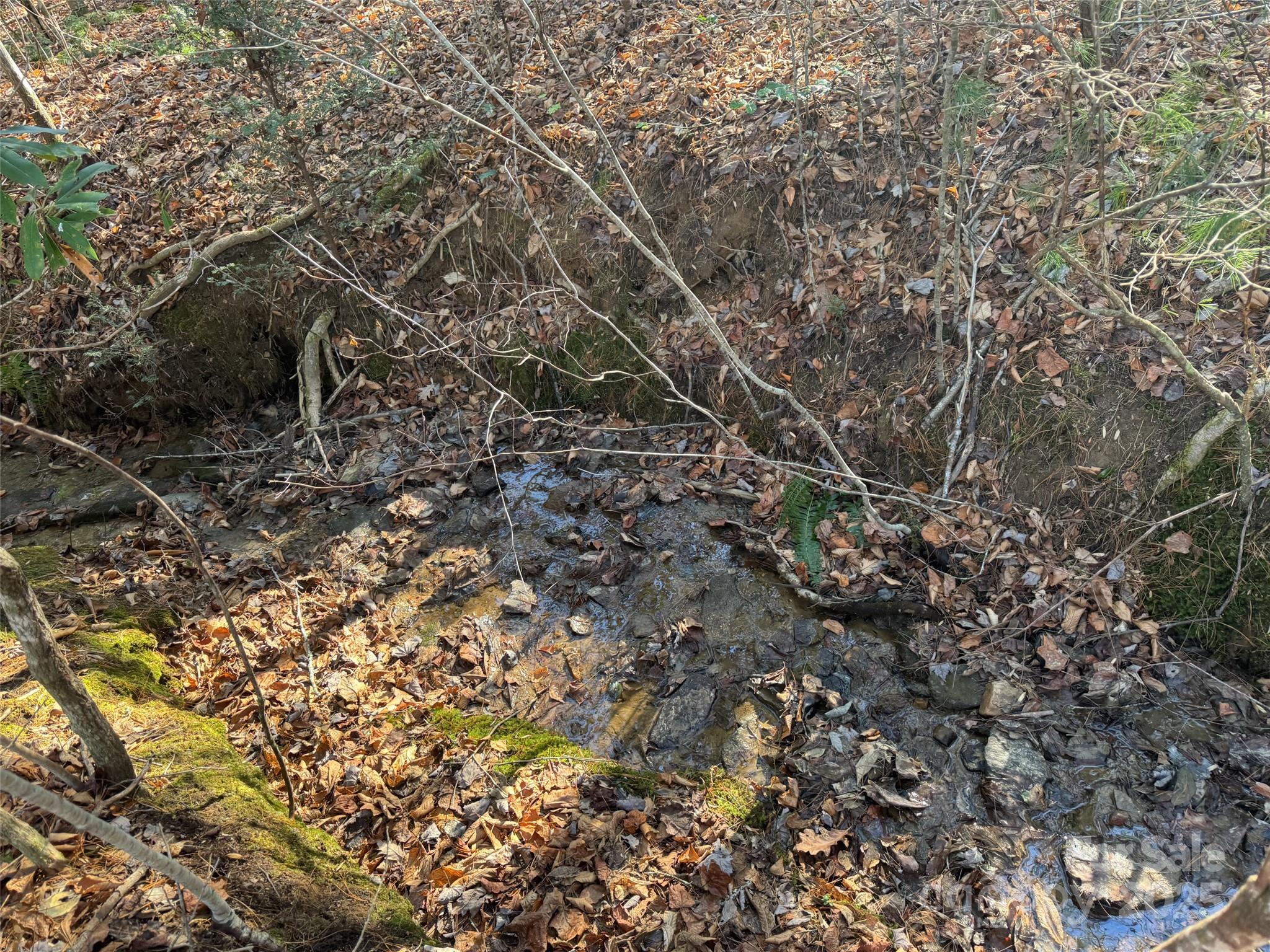 Blackberry Cove - Land