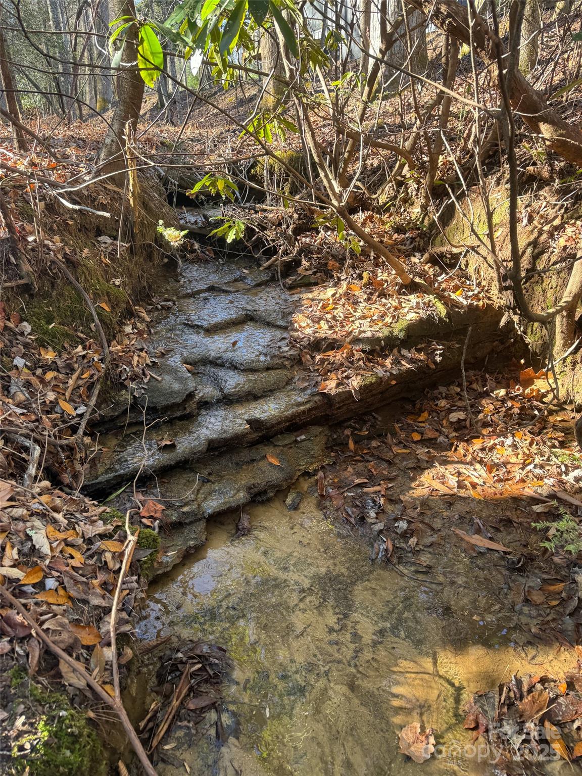 Blackberry Cove - Land