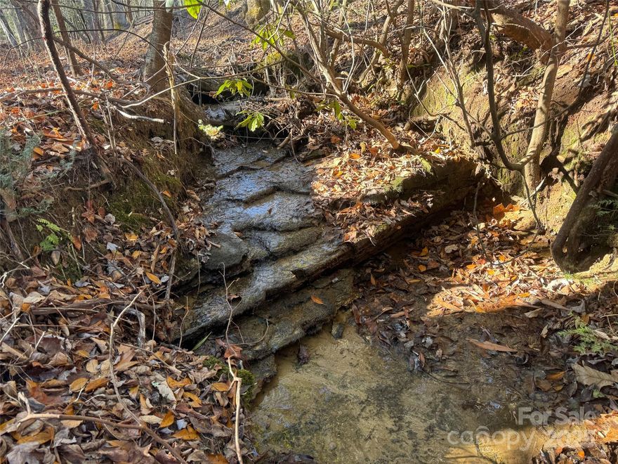 Tucked halfway between the cultural heart of Brevard and the adventure-rich trails of DuPont State Forest, 4 Blackberry Cove offers 1.49 acres of quiet, wooded mountain living without sacrificing convenience. A small creek meanders along the property's edge, mature hardwoods provide a natural canopy, and the gently rolling terrain keeps your building options open without the headaches of a steep slope.
The community itself draws buyers who value thoughtful, modern architecture and the kind of privacy that a wooded setting naturally provides — while still being just a short drive from everything Brevard has to offer. And with an active septic permit already in hand, you can skip one of the more time-consuming steps in the building process and get moving on your mountain modern vision sooner than you might expect.
If you've been searching for that rare combination of natural beauty, a well-established neighborhood, and a site that's genuinely ready to build — this one checks the boxes.