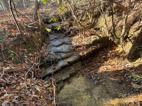 000 Small Creek Road Brevard NC 28712