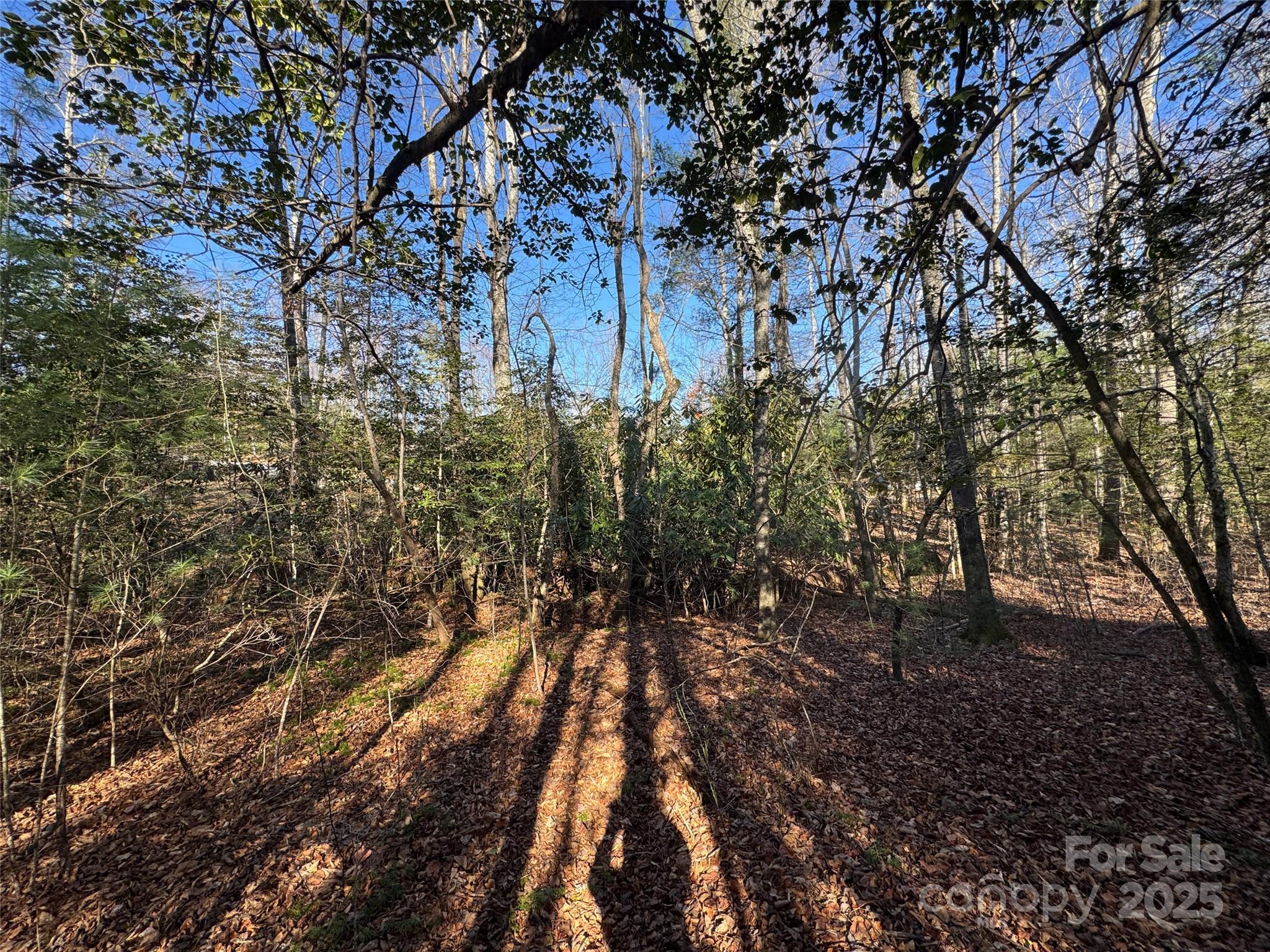 Blackberry Cove - Land