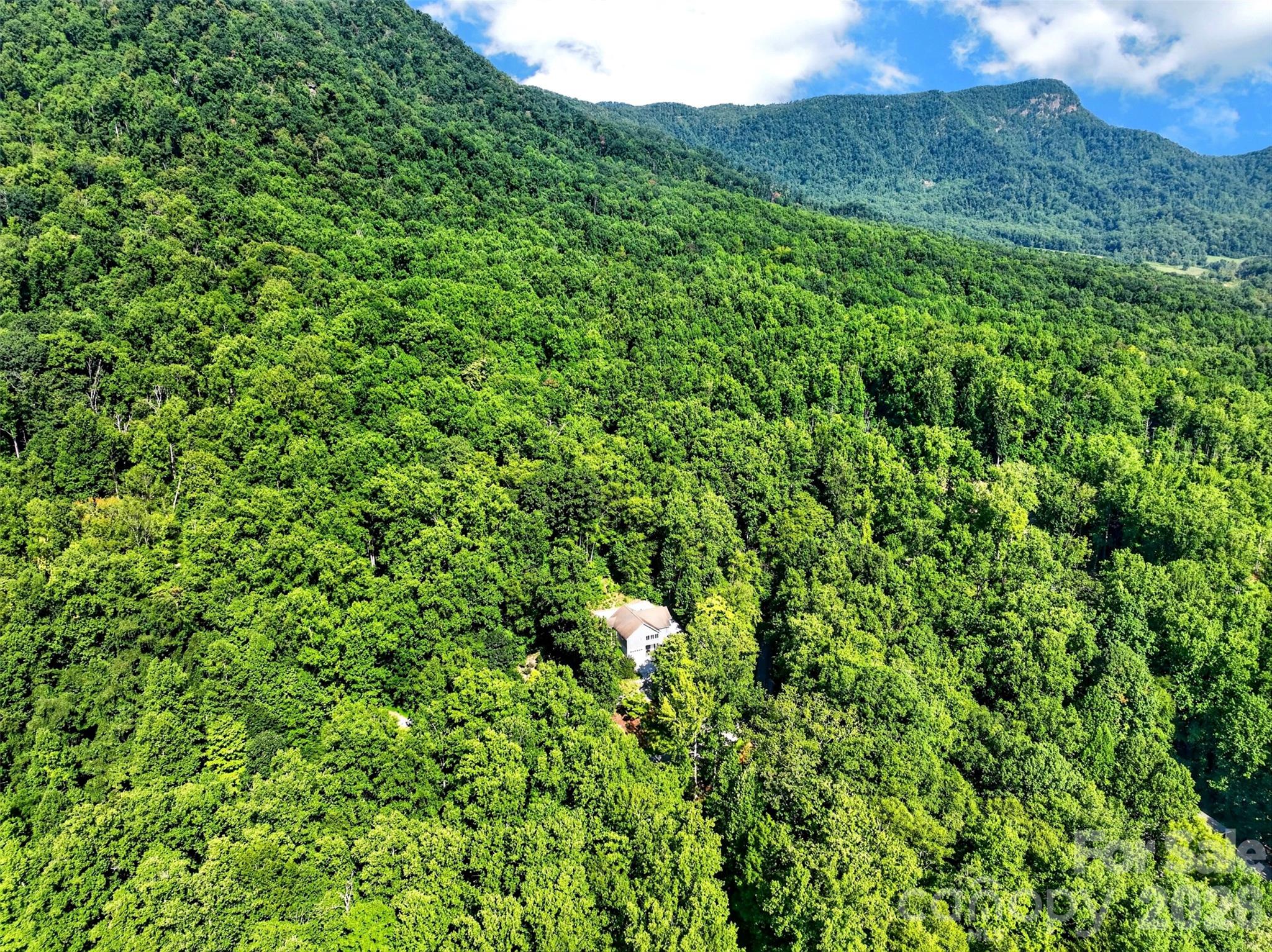 767 Hunnicut Mountain Road