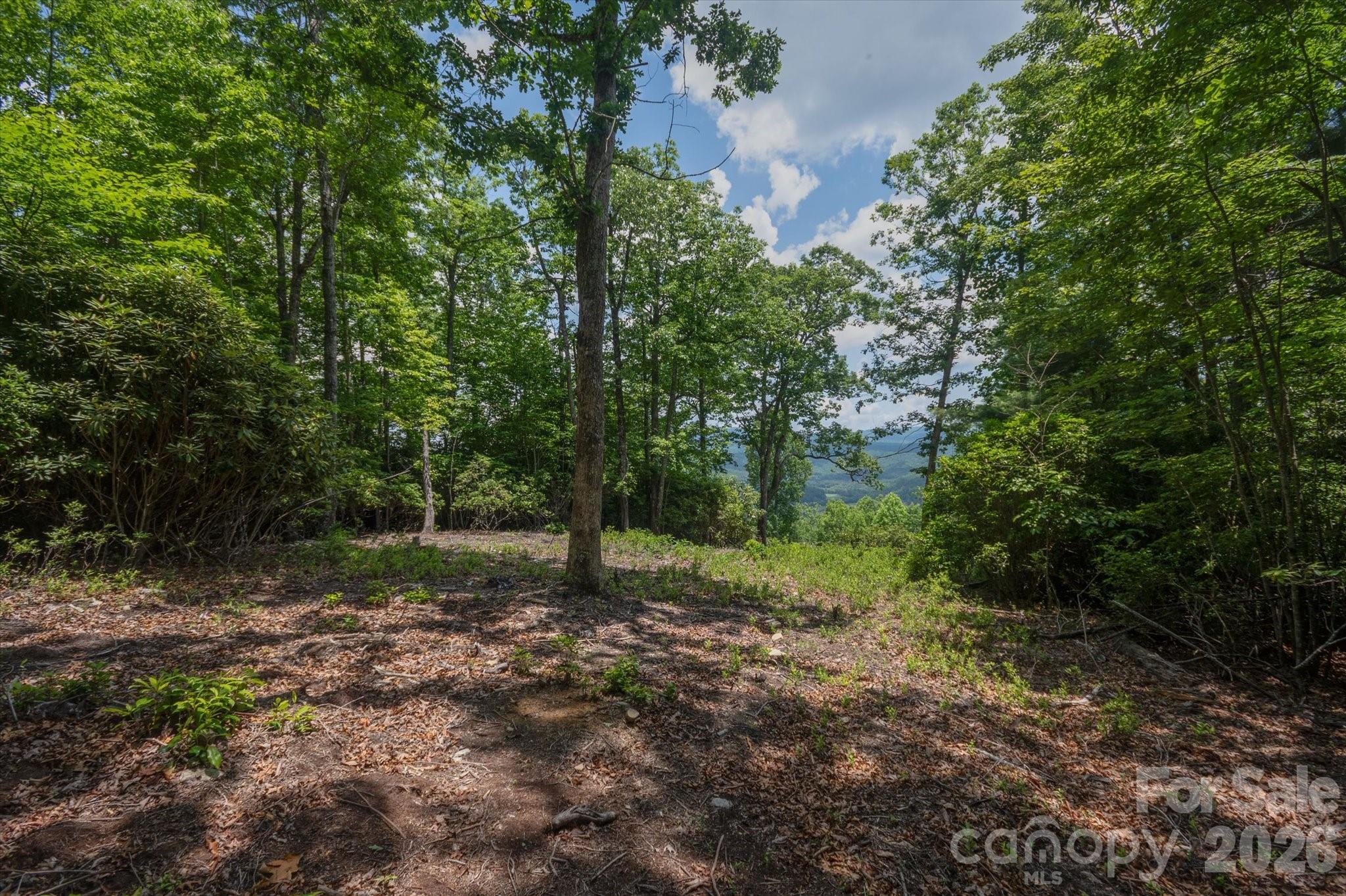 TBD Reserve Road 16
