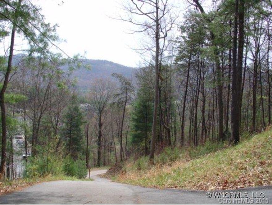 5 acres of privacy and mountain views. Only 10 minutes to downtown Asheville. Perfect for your dream home or possible sub-development.