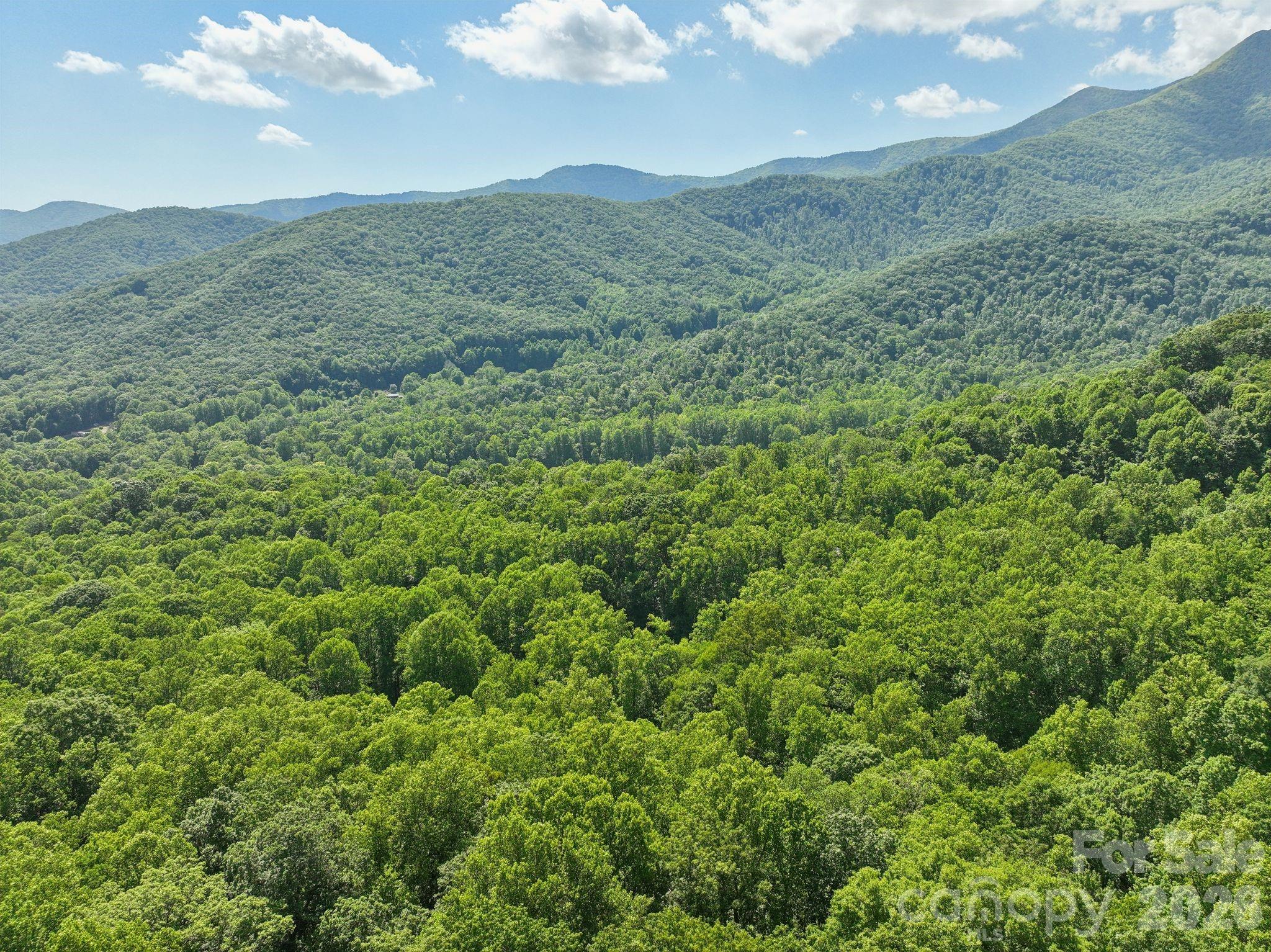 Davis Creek Estates - Residential