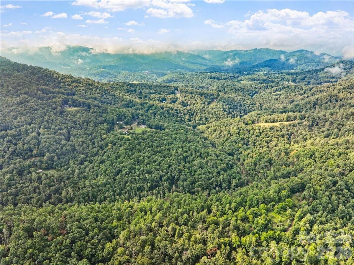 TBD Rabbit Hop Road