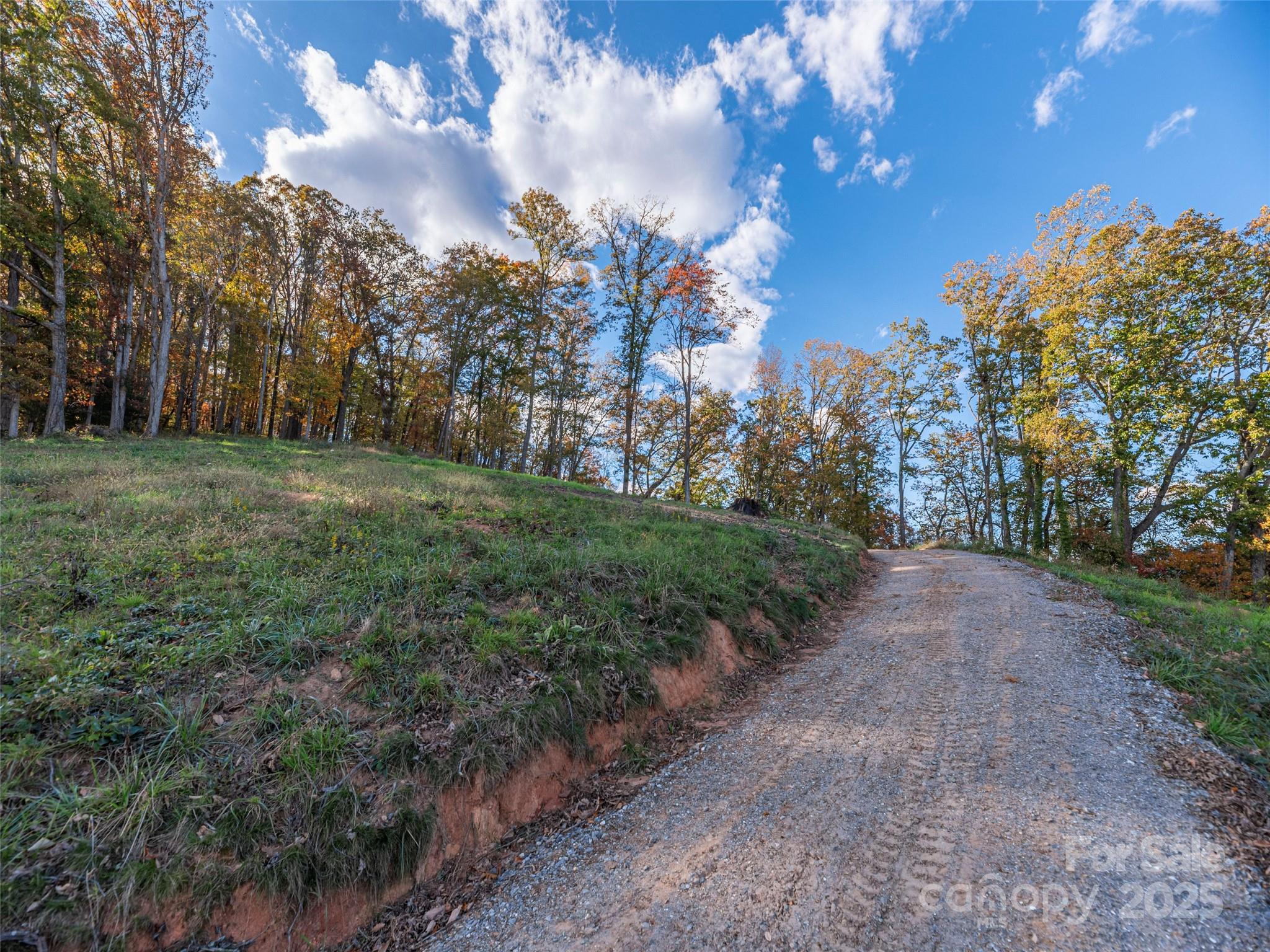 00 Aster Ridge Drive 10