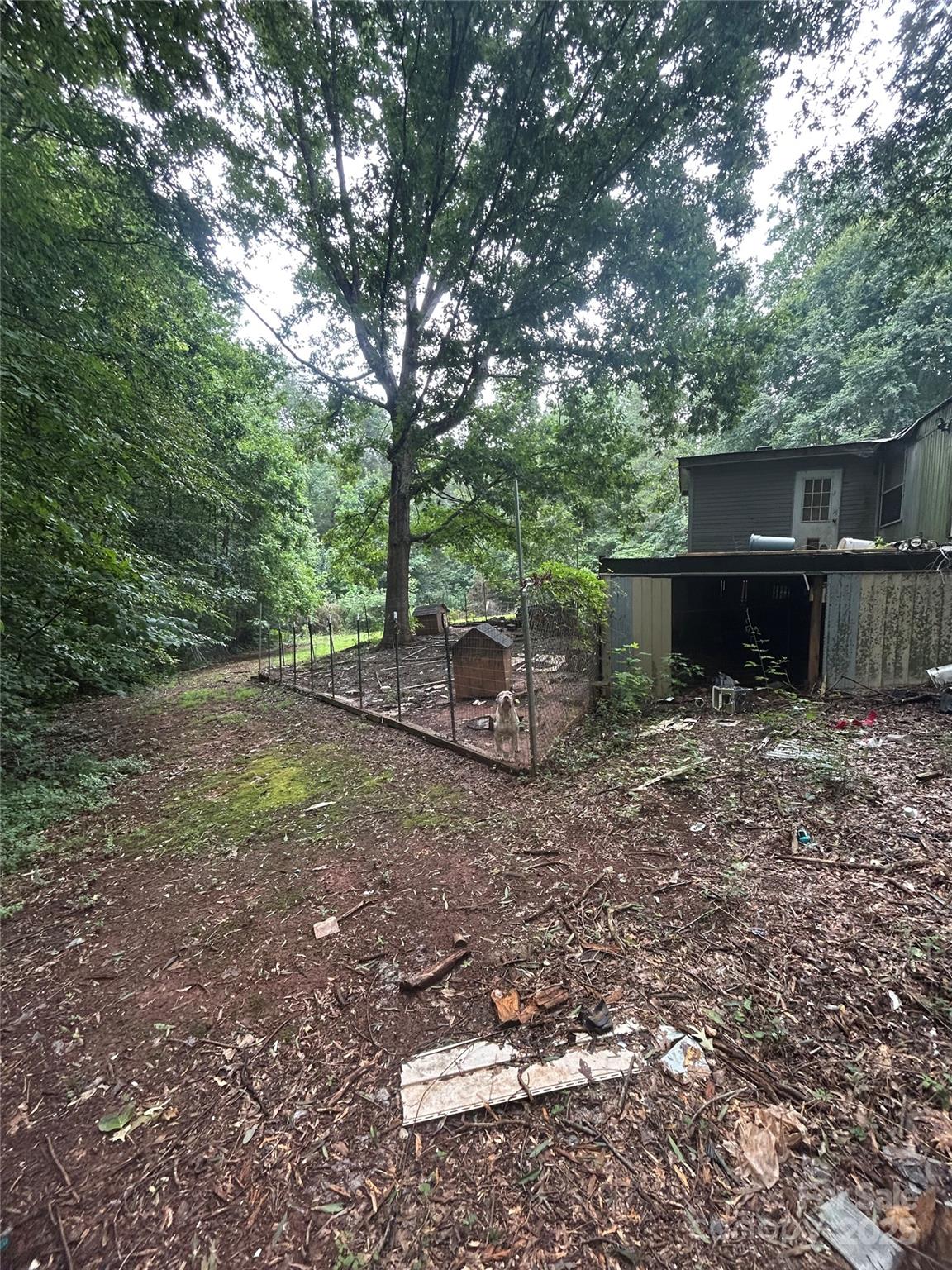 189 Springtime Lane 37