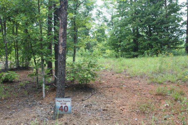 Pisgah Preserves at Lake James - Land