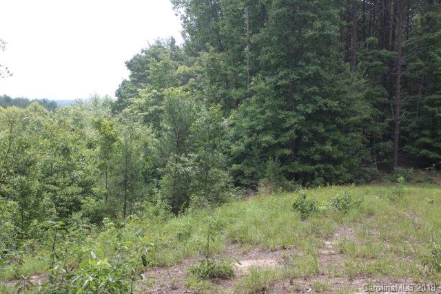 Pisgah Preserves at Lake James - Land