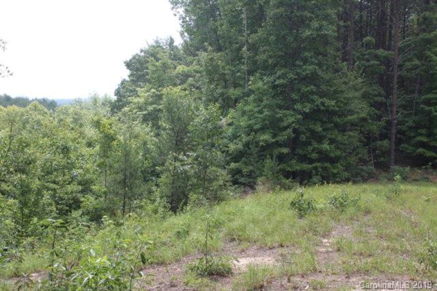 Vacant lot #40 is an easily accessible level wooded lot with beautiful views of Shortoff Mountain. Pisgah Preserve is a 460 acre gated community designed with preservation in mind with over 120 acres dedicated to open space and miles of walking trails. This desirable log cabin community is just minutes to Lake James, public boat ramps,marina and restaurant, the new 3000 acre Paddy's Creek State Park and Blue Ridge Parkway. Underground electric and fiber optic phone lines,roads constructed to NCDOT specs.Optional design and build services available. Well and septic needed. **PLEASE VIEW VIRTUAL TOUR OF PISGAH PRESERVE AT LAKE JAMES**