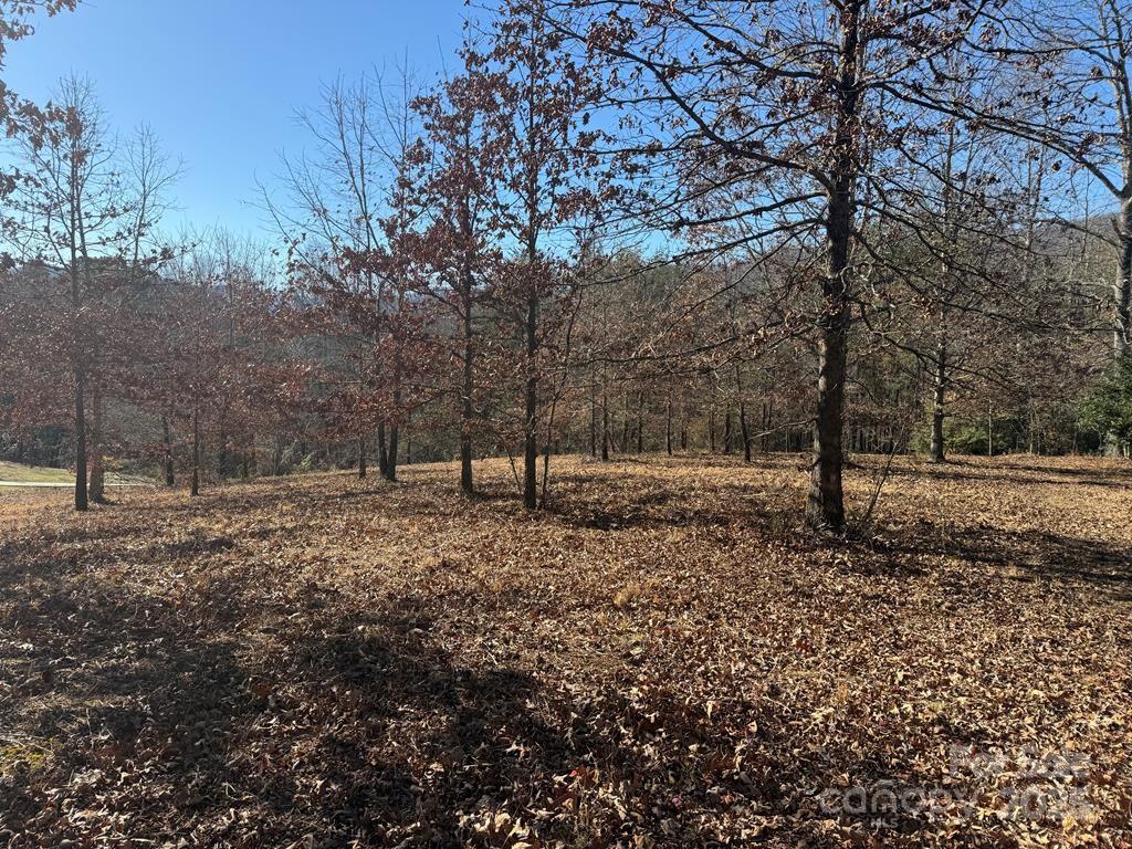 Sunshine Acres - Land