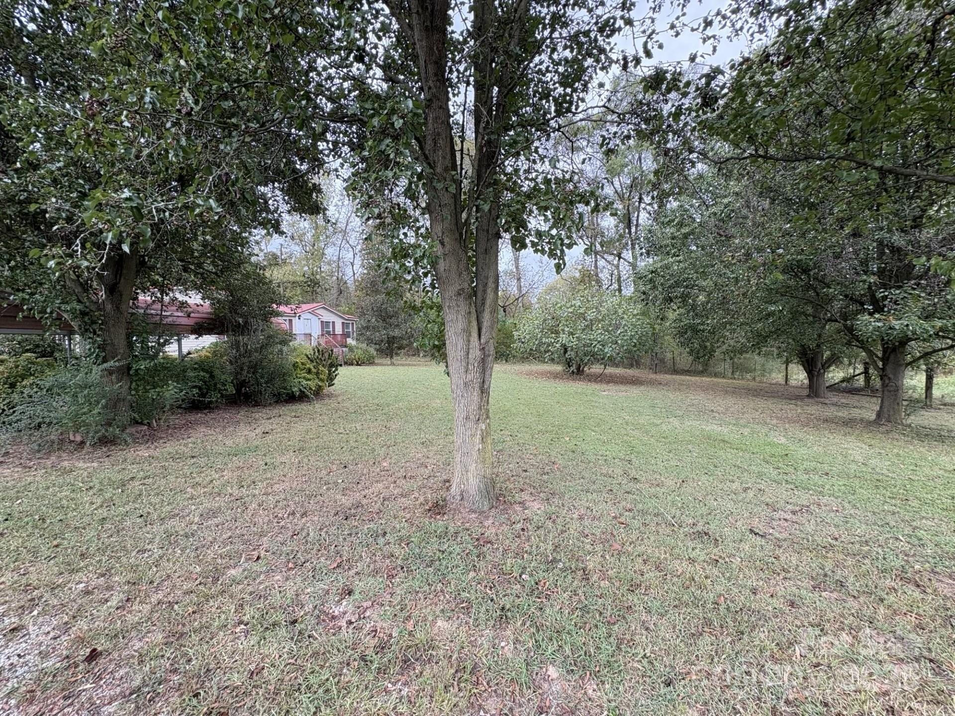 Carolina Crossing - Residential