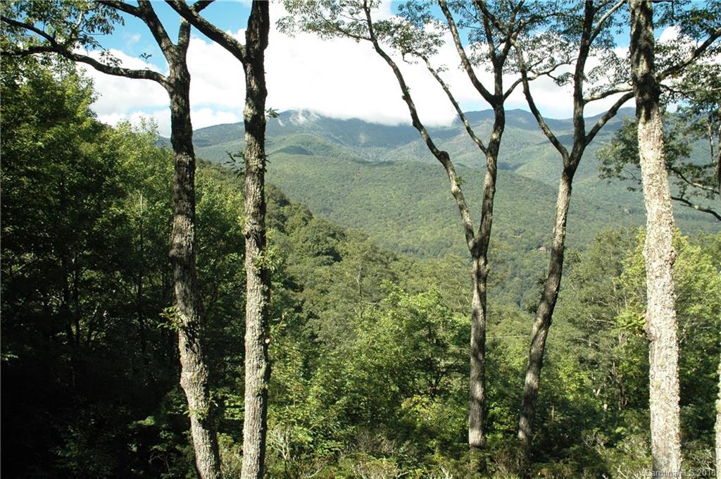 Mount Mitchell Lands - Residential