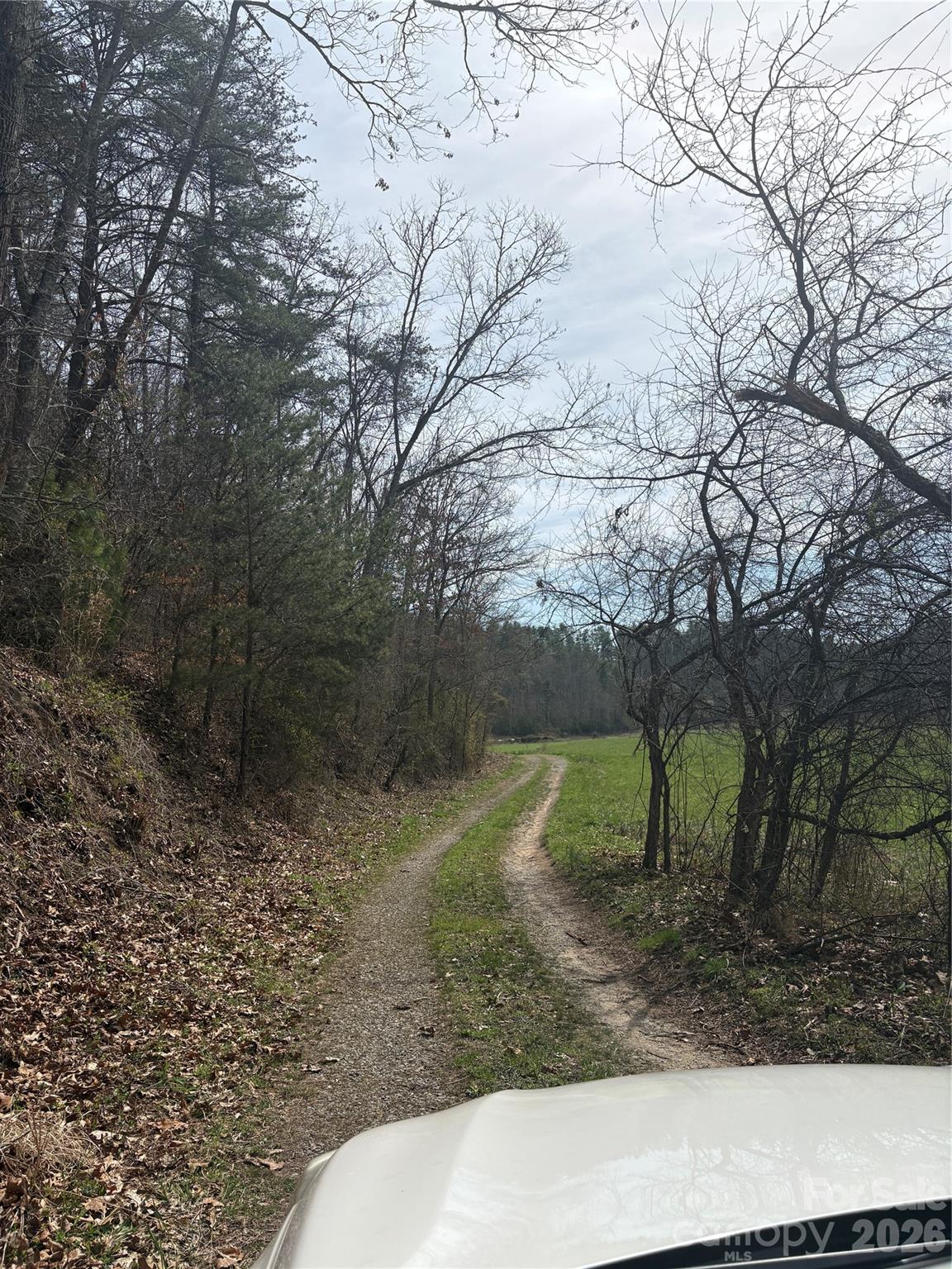 242 area Radford Road 1