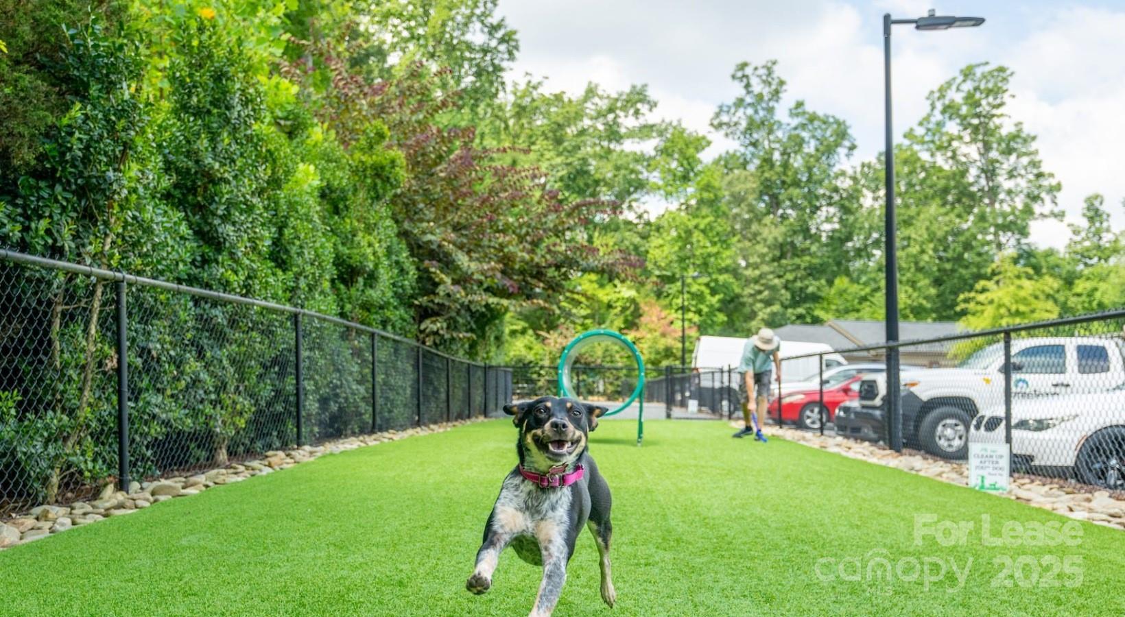 None - Residential Lease