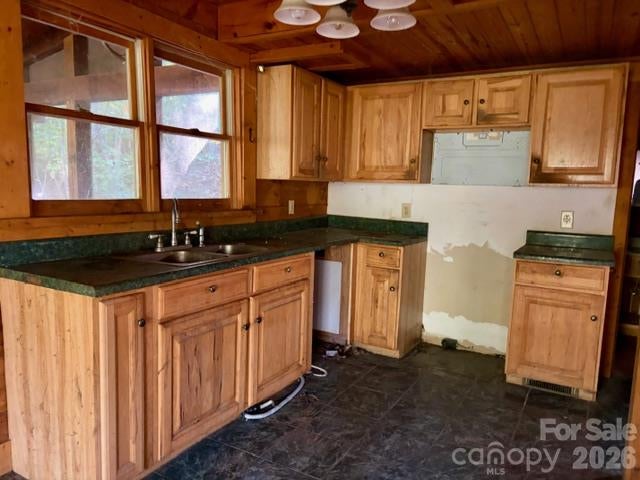 132 Chalk Creek Parkway 5 & 6