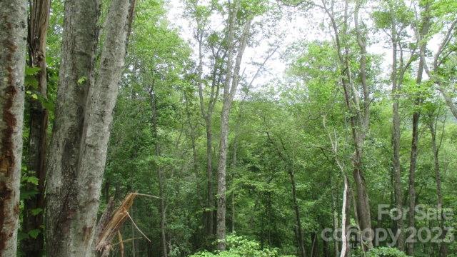 Lot 37 Deeplow Gap None