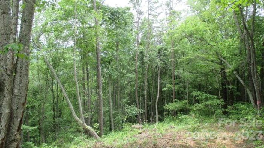 Easy building lot with potential for great views. Great community 8 minutes from Bryson City, directly adjoining the Great Smoky Mountains National Park with 500 miles of hiking and riding trails. Wide gentle roads, easy to build and access your home site. Preserved pasture for horses, plus barn and riding ring. Designed for the person who enjoys the outdoors, hiking, biking fishing or riding. A lovely walking or riding trail meanders around the pasture, or for the more energetic, easy access onto the Park trails at the back entrance of Deep Creek.