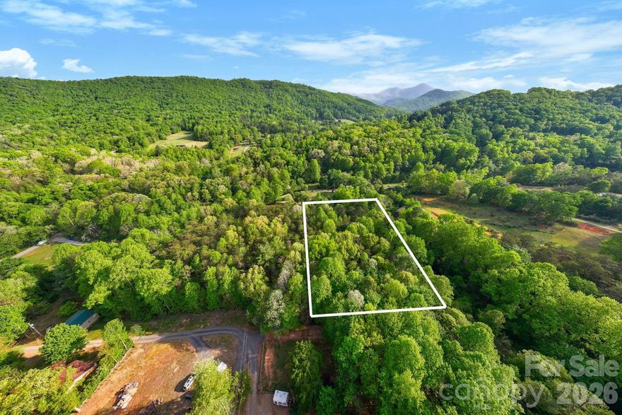 Beautiful 1.26 acre parcel located in desirable Candler, NC, just minutes from Asheville. This property offers a rural setting with Winter views of Mountains, providing a stunning natural backdrop. It is conveniently located near local schools, shopping, and dining, while still offering the privacy and tranquility of mountain living. No HOA restrictions so you can enjoy the freedom to build and use the property to suit your needs. Do not miss the chance to own acreage in a highly sought after mountain property with privacy, views, and flexibility, all within a short drive to Asheville!