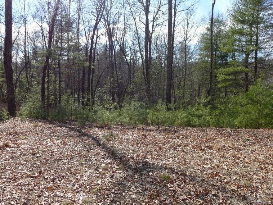 Beautiful private home site with three bedroom septic System installed. Minutes from DuPont Forest and Caesars Head State Park with hiking biking and horseback. Gentle land with winter views.