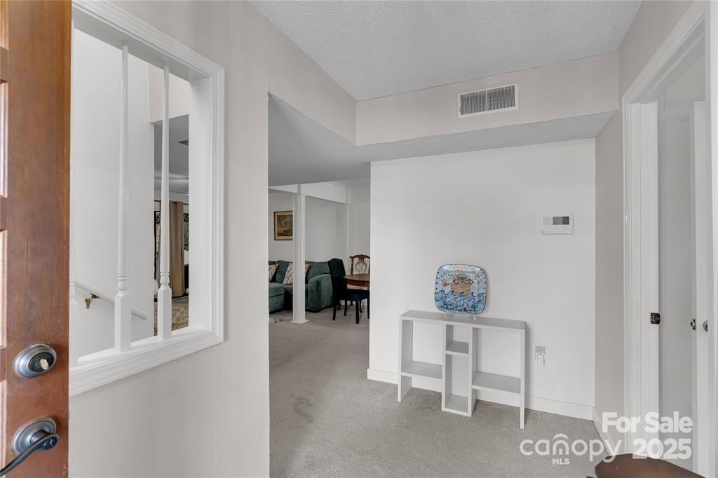 101 Shannondale Court
