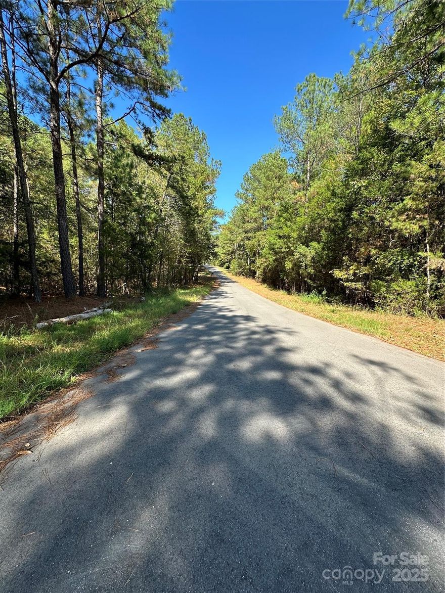 Great opportunity to build your dream home on this (+/-) 0.504-acre lot located on Lanksford Drive in Fort Lawn, SC. Enjoy the peaceful surroundings and small-town charm while remaining conveniently close to nearby amenities, schools, and major highways for an easy commute. With ample space for your ideal home design and outdoor living, this property offers the perfect balance of privacy and accessibility. Don’t miss out on the chance to make this beautiful piece of land your own!