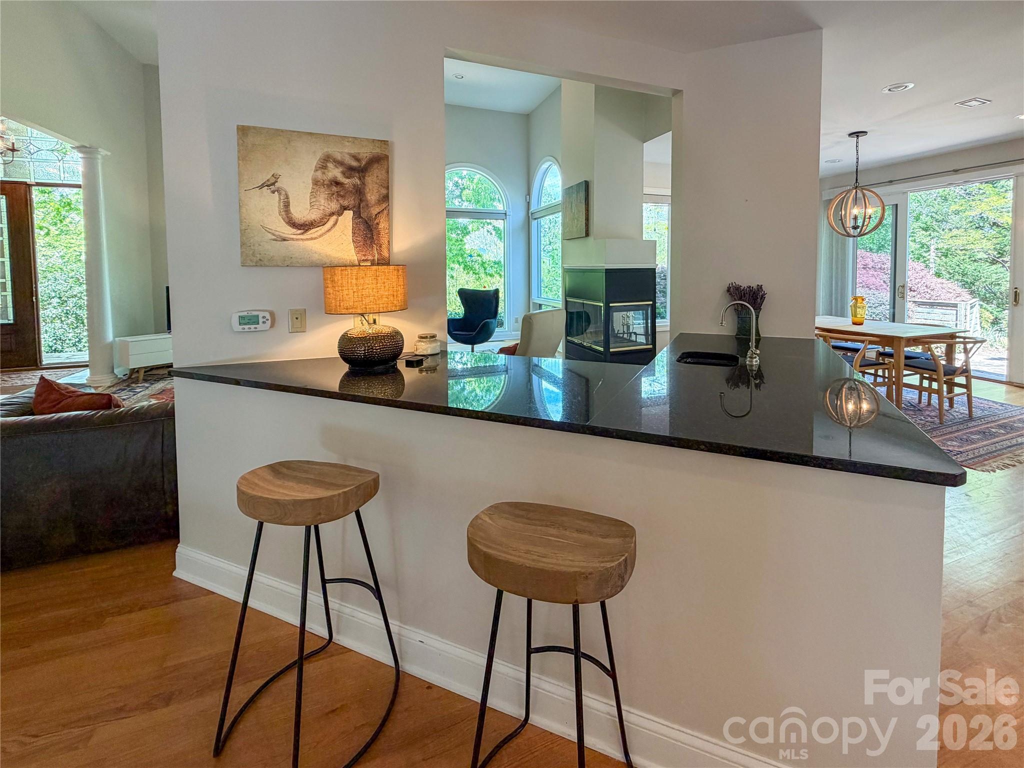 Rumbling Bald on Lake Lure - Residential