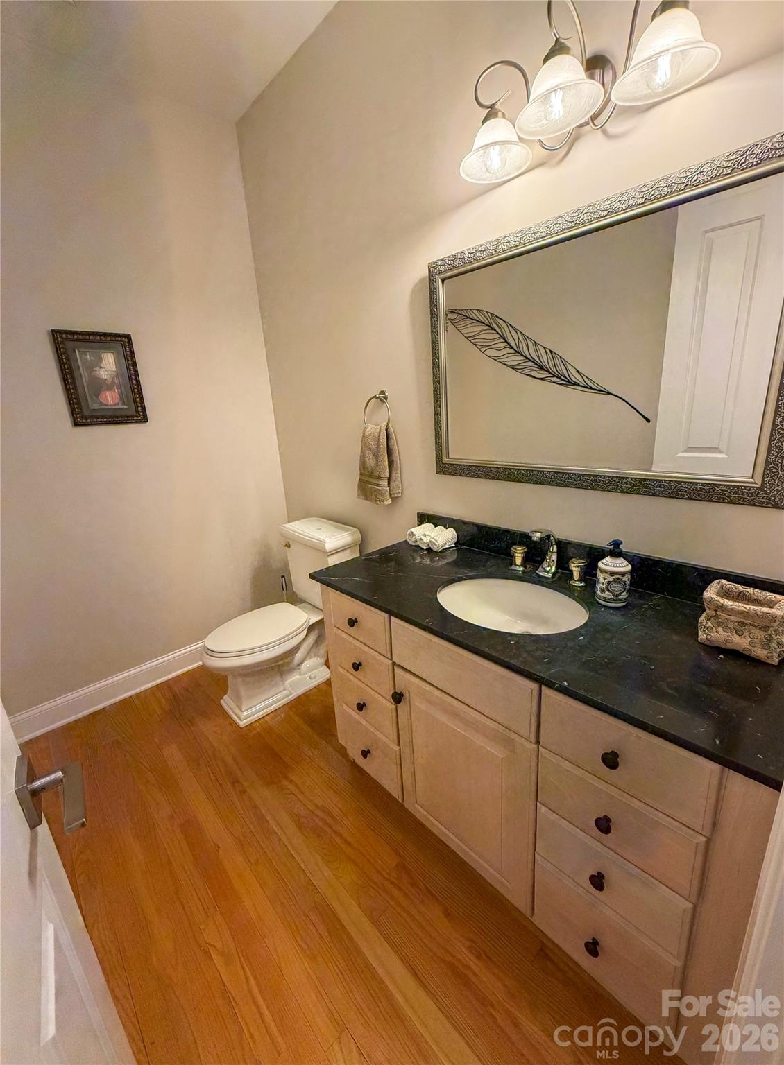 Rumbling Bald on Lake Lure - Residential