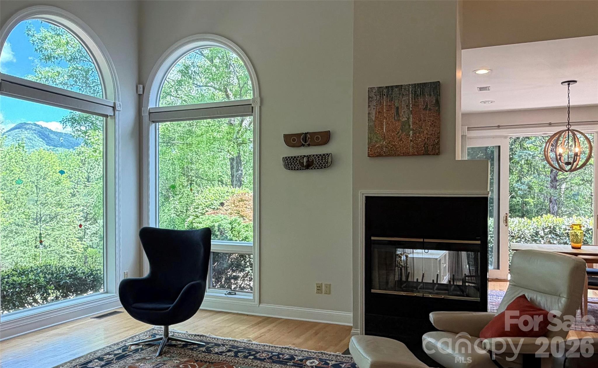 Rumbling Bald on Lake Lure - Residential