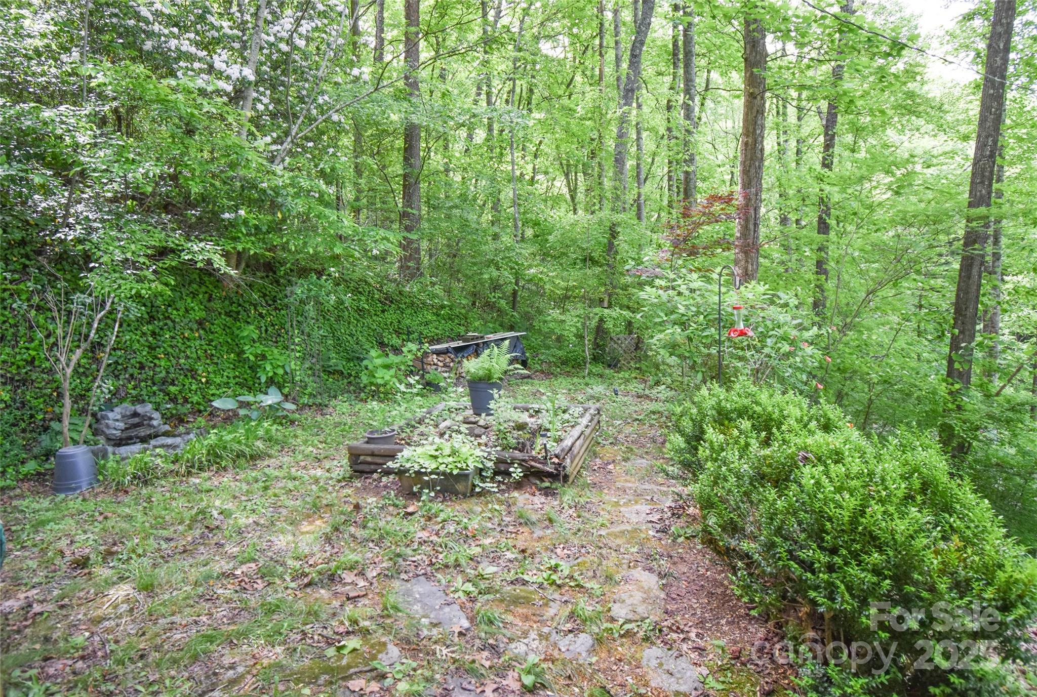 Bear Cove - Residential