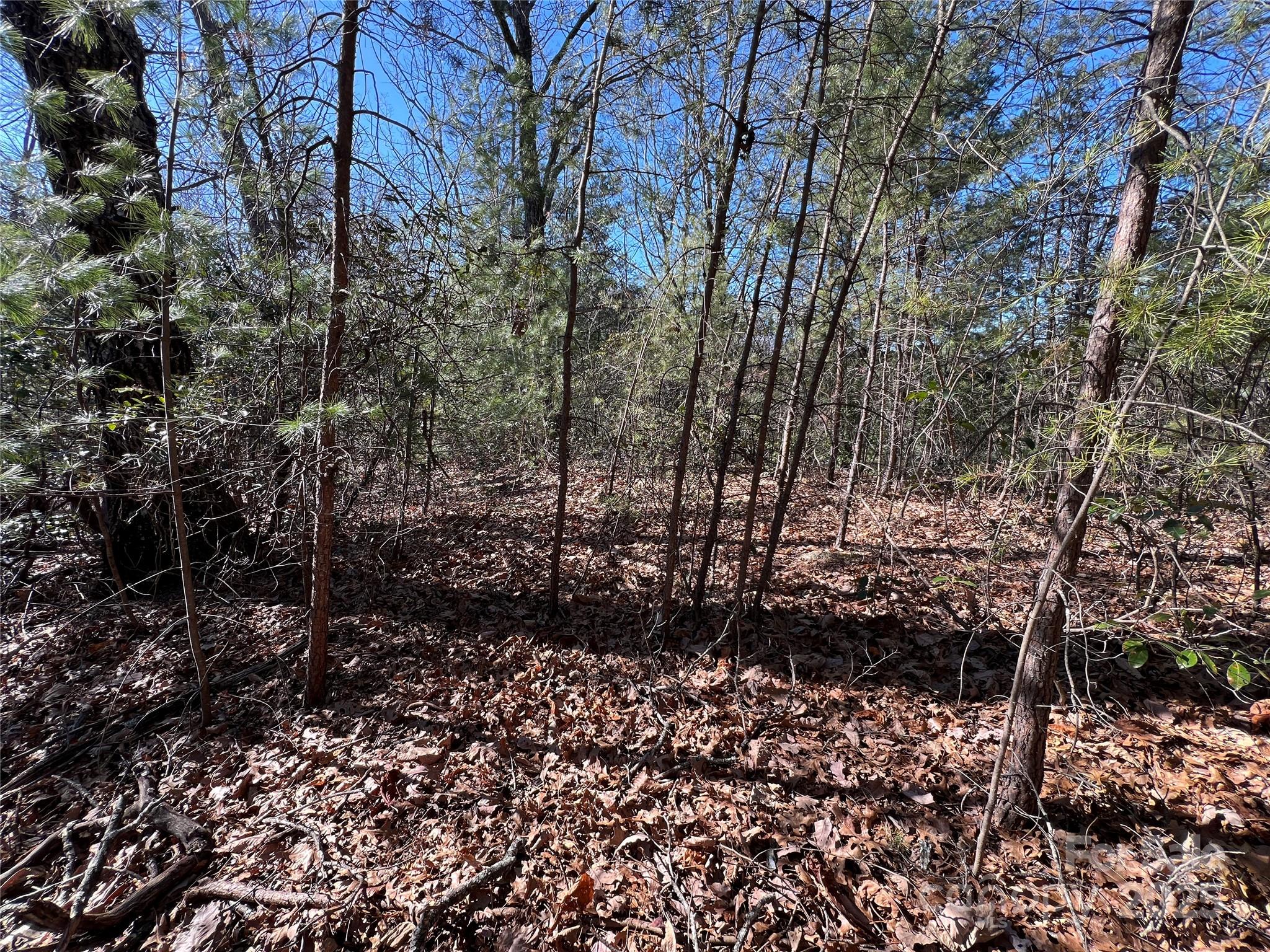 Buck Mountain - Land