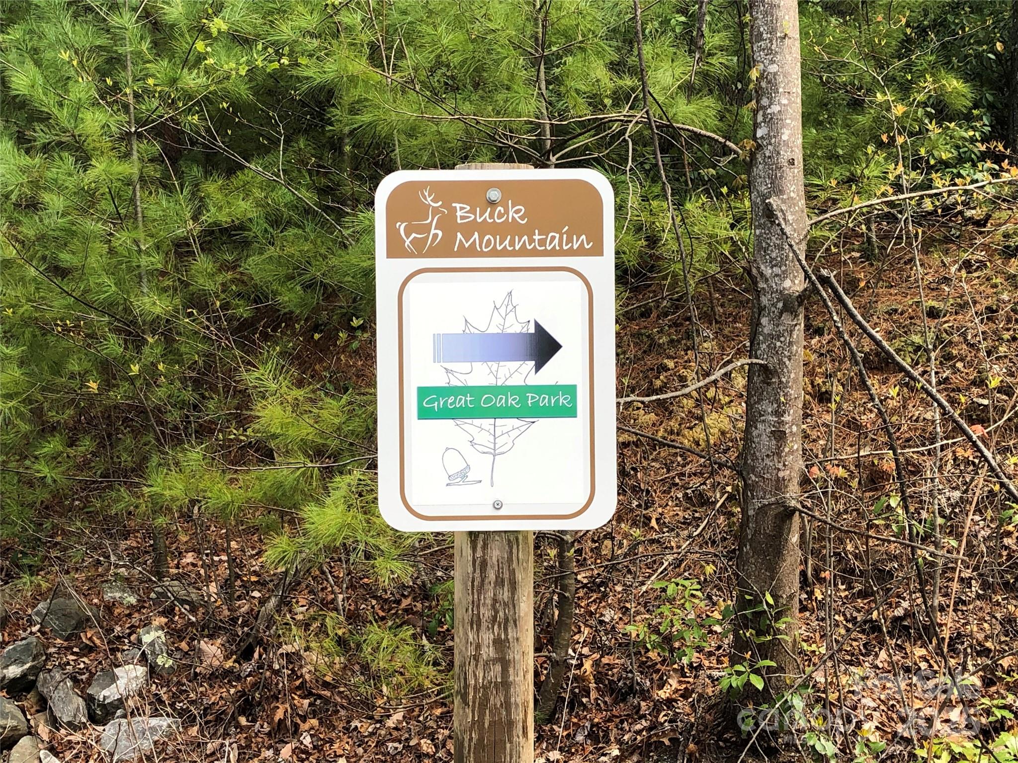 Buck Mountain - Land