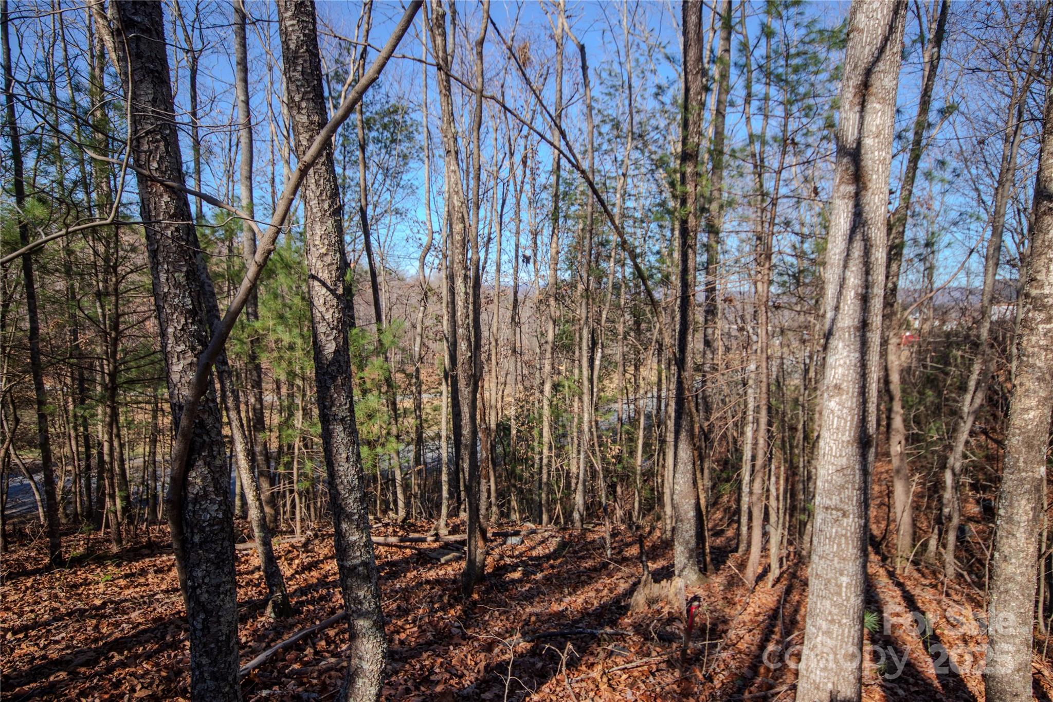 401 Huntington Woods Street SE 28