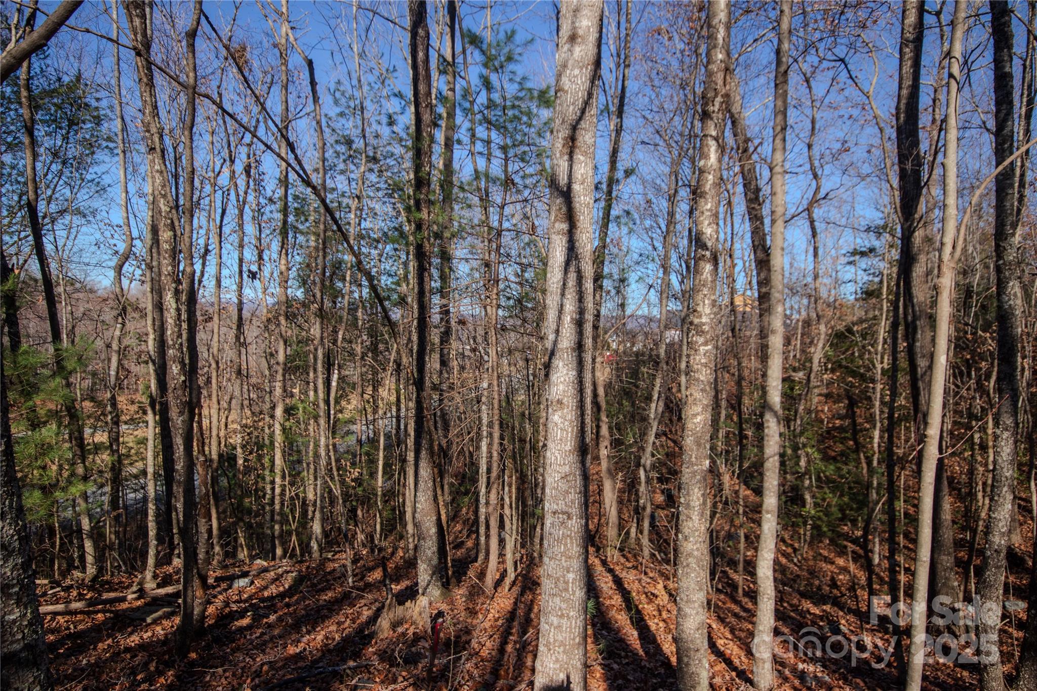 401 Huntington Woods Street SE 28