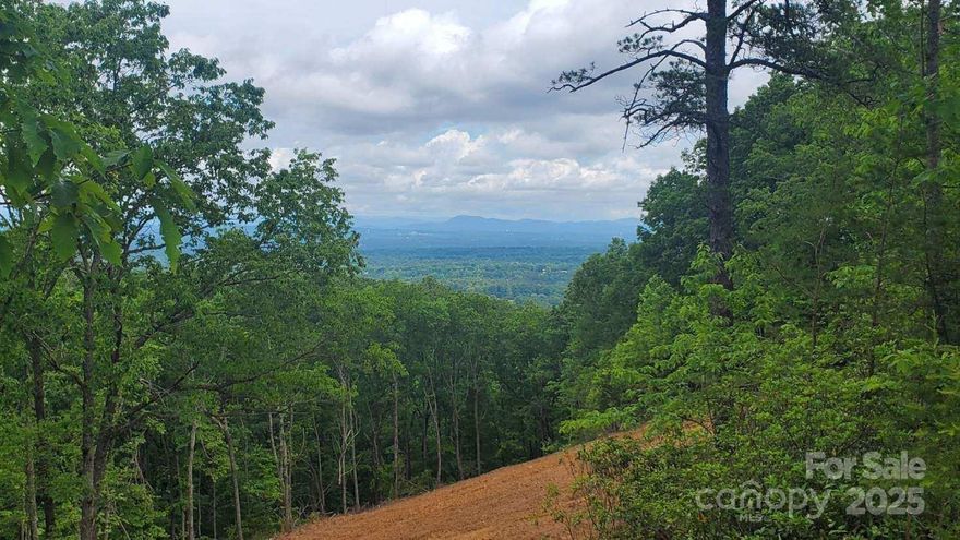 What an amazing location.  Come and Build your Dream Home, Mineral Springs Mountain! Steep Lot with Spectacular Mountain Views. Homesite has been cleared. Septic is Needed. Very Easy Access to I-40 , Downtown Valdese and Morganton.