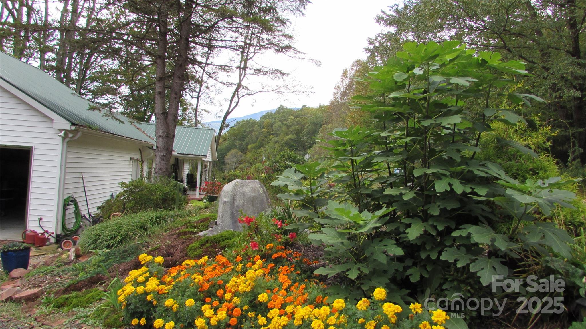 524 Clear Creek Road