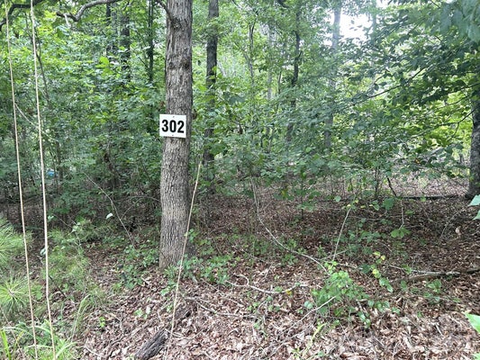 132 BITTEROOT CIR, RUTHERFORDTON, NC 28139 - Image 985bf3e573dc6e75eca1607c1033dbad/1216962599