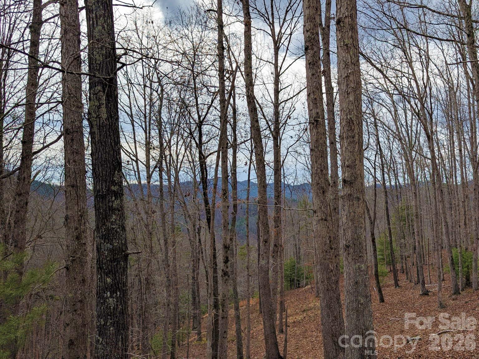 French Broad Crossing - Land